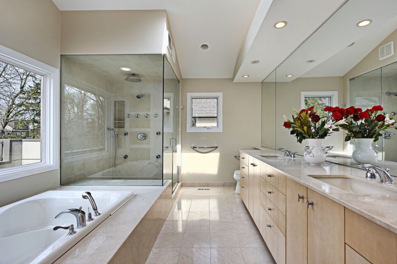 Sophisticated Shower Space